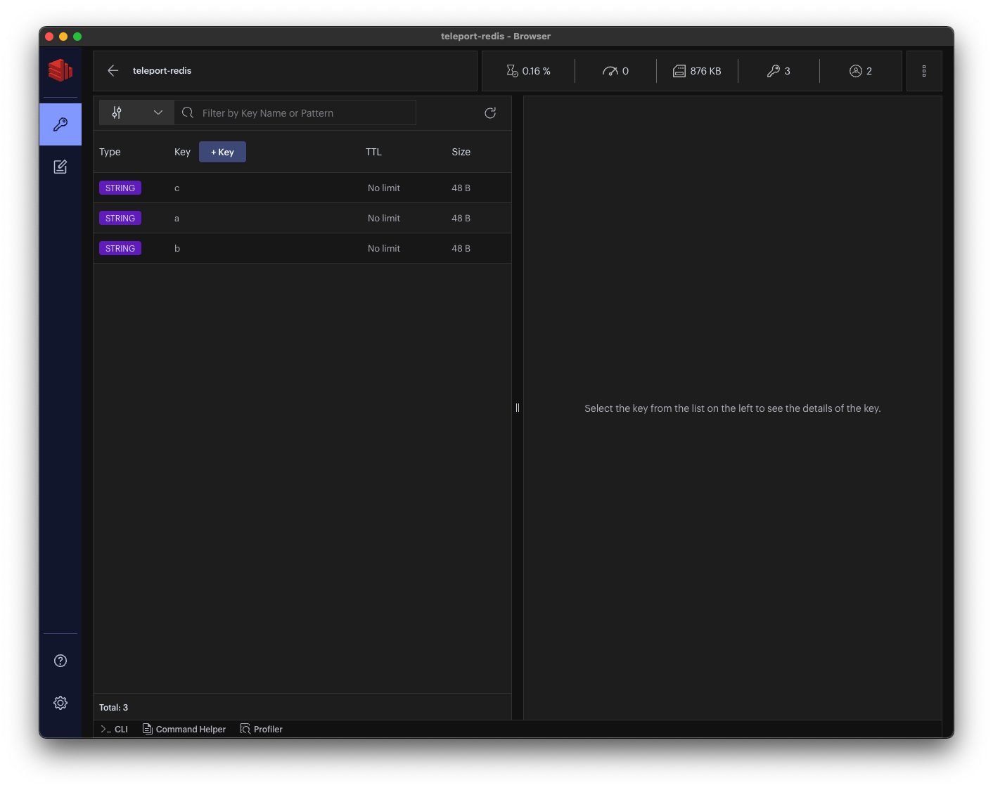 Redis Insight 연결됨