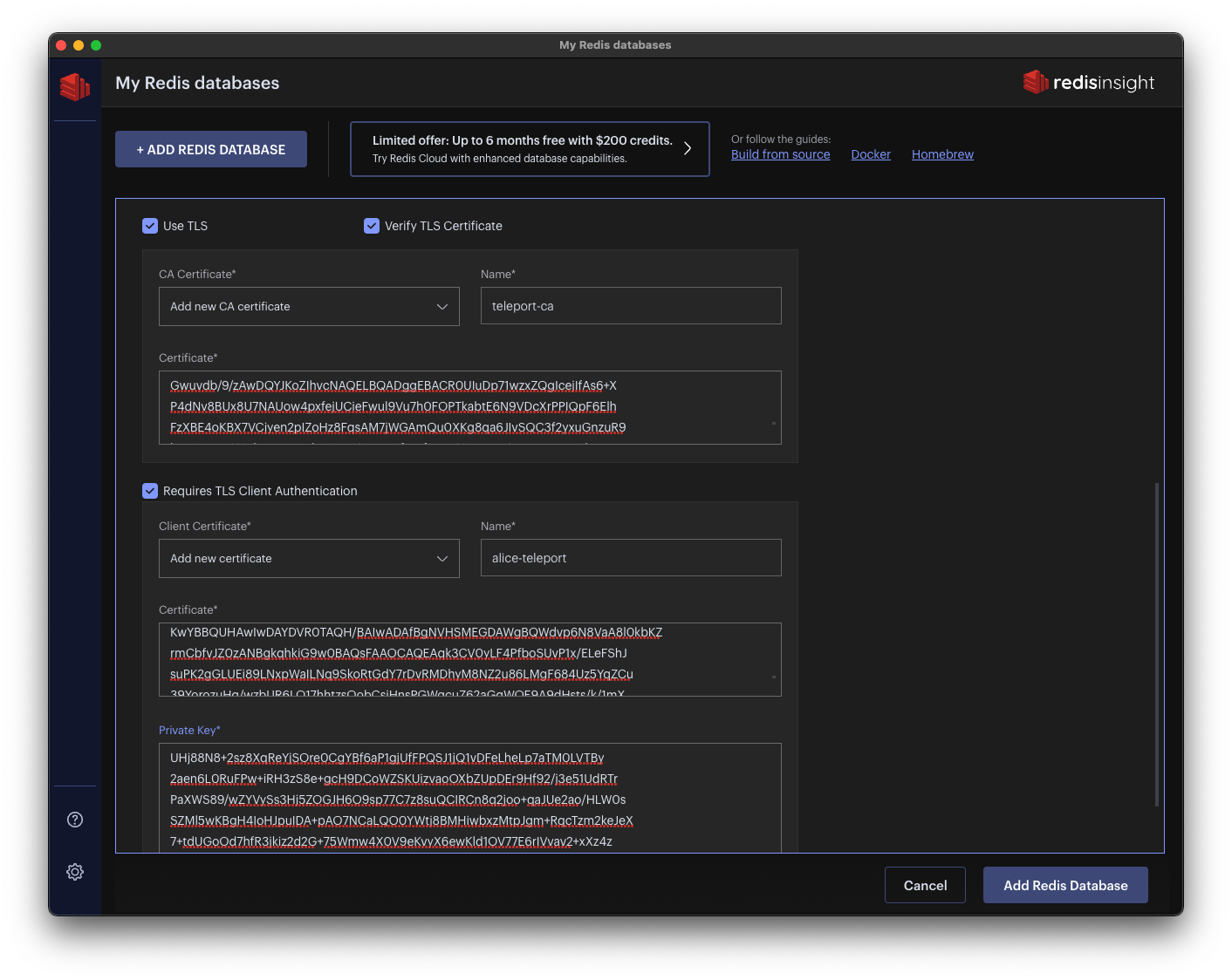 Redis Insight TLS 구성