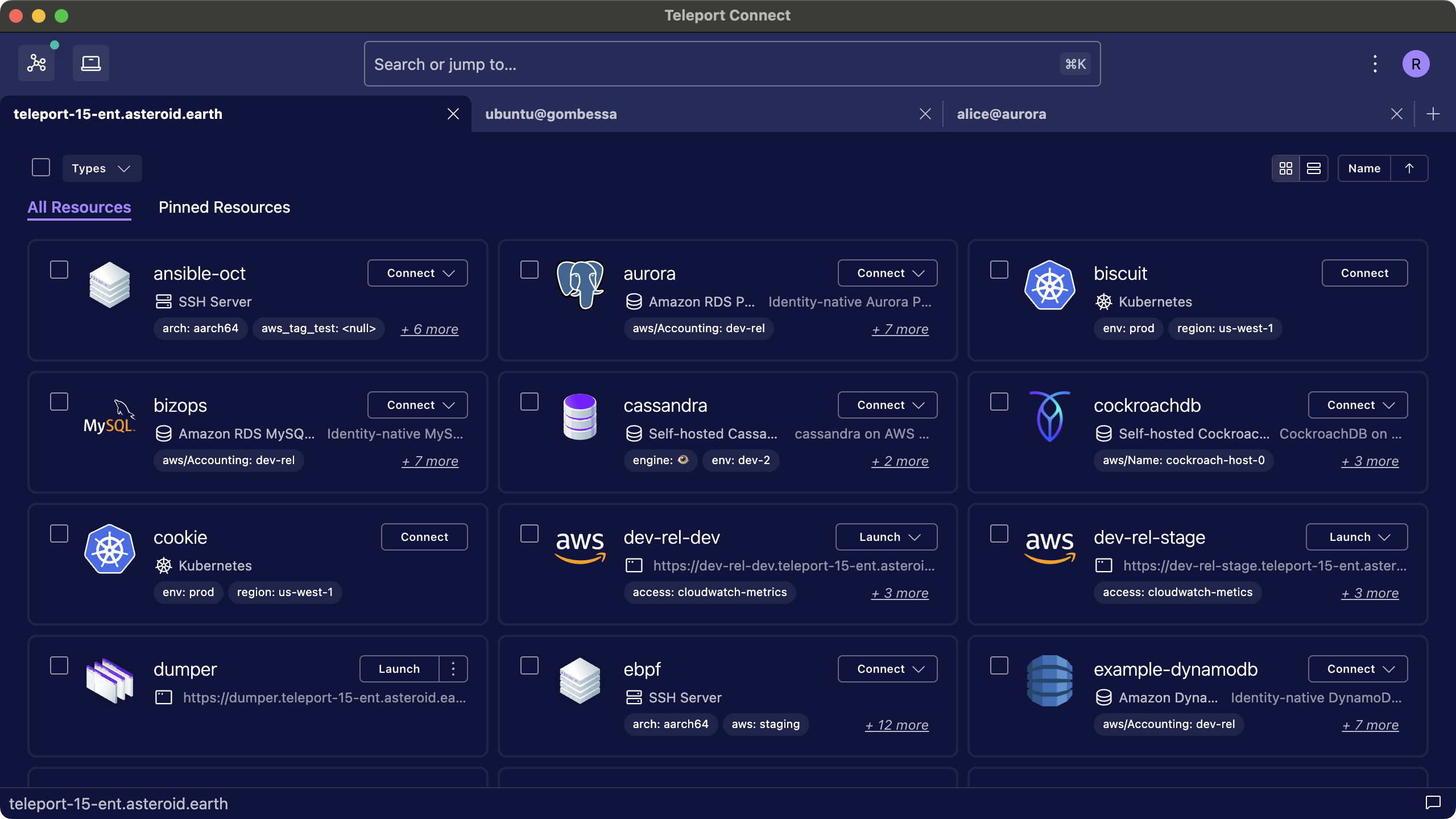 Teleport Connect에서의 리소스 탭